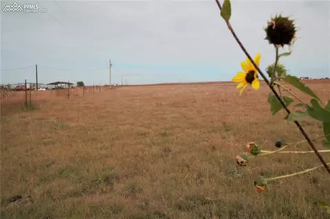 7850 S Rush Rd, Rush, CO 80833 photo 5