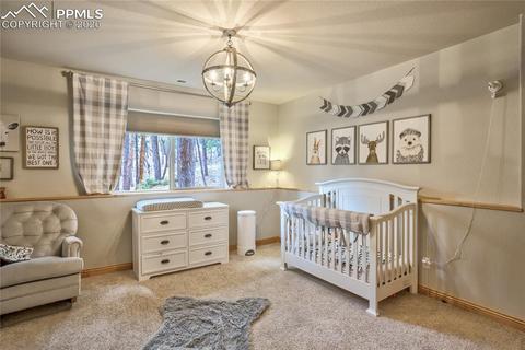 17536 Saddle Ridge Ct, Monument, CO 80132 photo 36