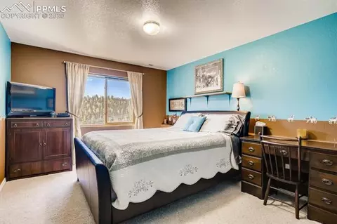 1588 Spring Valley Dr, Divide, CO 80814 photo 23