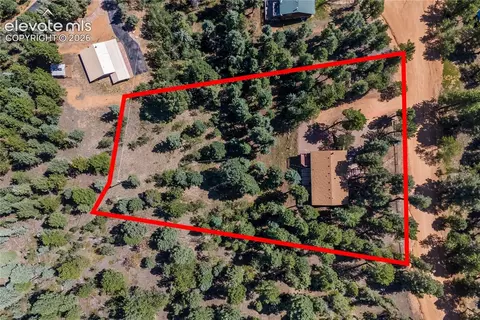 View/Area - 101 Heather Cir, Divide, CO 80814 photo 3 of 4