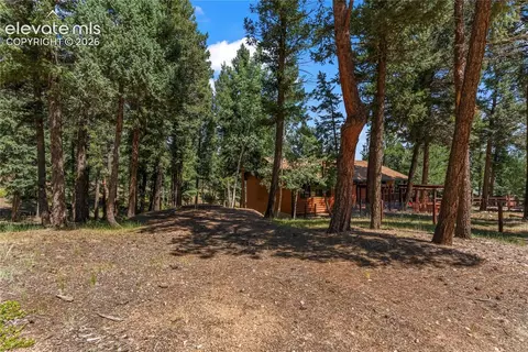 Exterior - 101 Heather Cir, Divide, CO 80814 photo 4 of 7