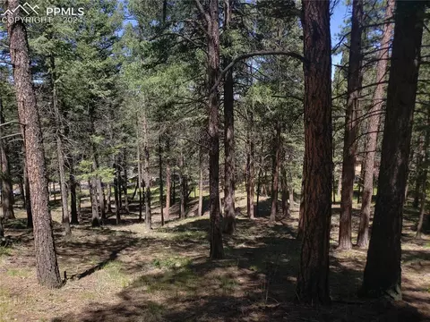 401 Falcons Rest Pl, Woodland Park, CO 80863