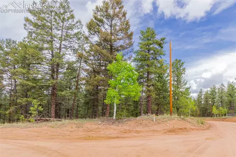 71 Nuaku Rd, Florissant, CO 80816