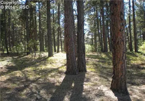 745 Silver Saddle Rd, Monument, CO 80132 photo 1