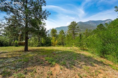 4420 Heizer St, Cascade, CO 80809 photo 29