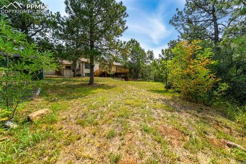 4420 Heizer St, Cascade, CO 80809 photo 34