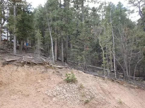 620 Wakanda Trl, Woodland Park, CO 80863