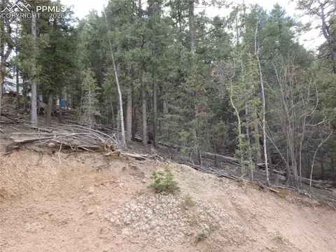 620 Wakanda Trl, Woodland Park, CO 80863