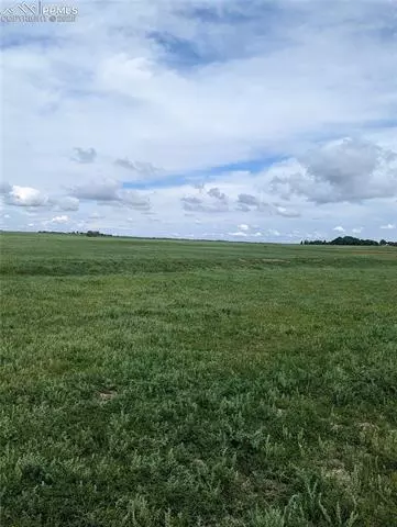 21485 County Road 2, Rush, CO 80833 photo 3