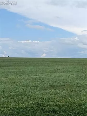 21485 County Road 2, Rush, CO 80833 photo 5