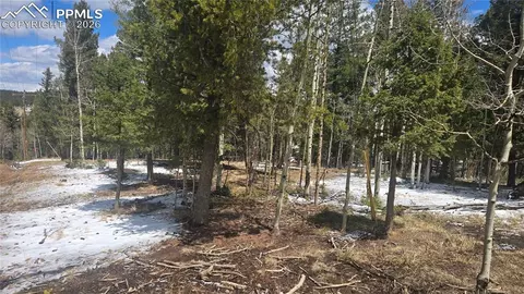 144 Little Bear Peak Rd, Florissant, CO 80816