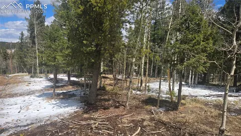 144 Little Bear Peak Rd, Florissant, CO 80816