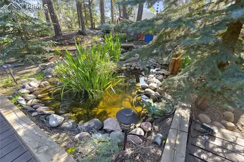 Other - 566 Spring Valley Dr, Divide, CO 80814 photo 11 of 11