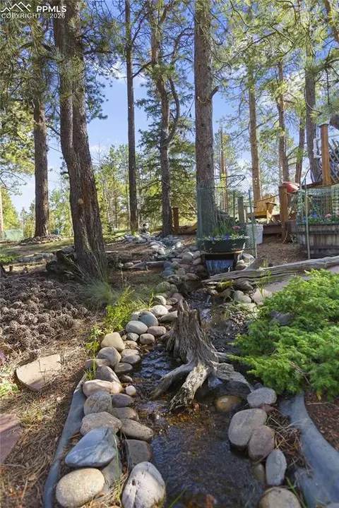 Other - 566 Spring Valley Dr, Divide, CO 80814 photo 10 of 11