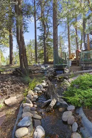 566 Spring Valley Dr, Divide, CO 80814 photo 28