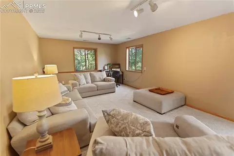 566 Spring Valley Dr, Divide, CO 80814 photo 19