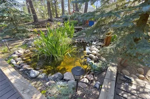 566 Spring Valley Dr, Divide, CO 80814 photo 29