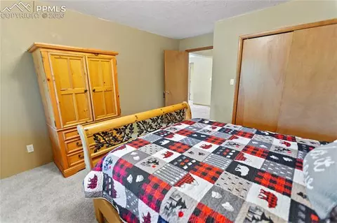 566 Spring Valley Dr, Divide, CO 80814 photo 24