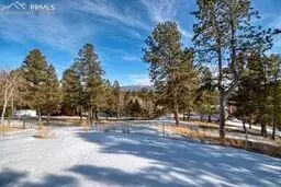 407 Blue Mesa Dr, Divide, CO 80814 photo 2