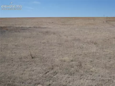 11701 County Road 137, Simla, CO 80835 photo 8