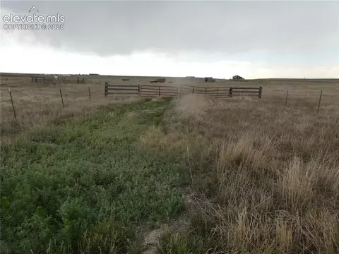 11701 County Road 137, Simla, CO 80835 photo 14