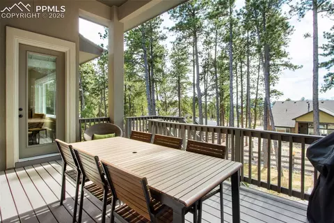 16406 Dancing Bear Ln, Monument, CO 80132 photo 42