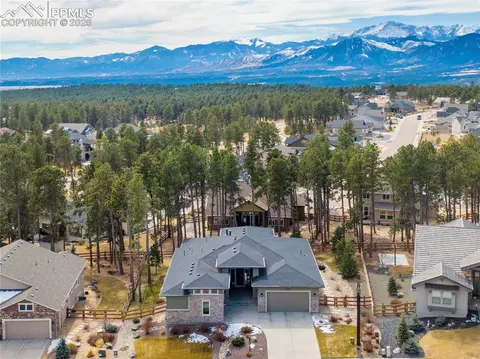 16406 Dancing Bear Ln, Monument, CO 80132 photo 4