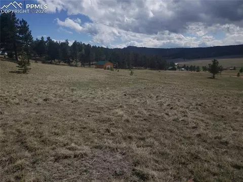 1938 S Mountain Estates Rd, Florissant, CO 80816