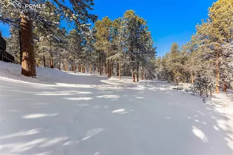 123 Spring Dr, Pine, CO 80470 photo 8