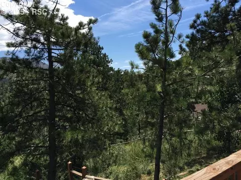 10220 Mountain Rd, Cascade, CO 80809 photo 20