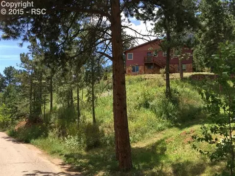 10220 Mountain Rd, Cascade, CO 80809 photo 3