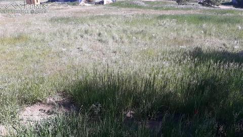 61 Will Stutley Dr, Divide, CO 80814 photo 4