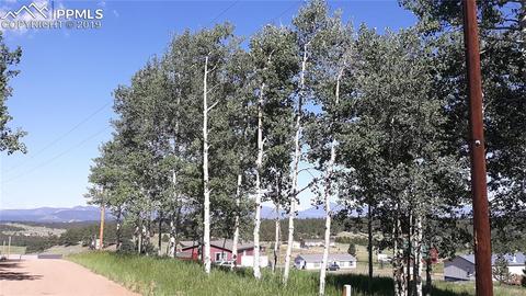 61 Will Stutley Dr, Divide, CO 80814 photo 3