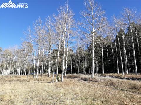 61 Will Stutley Dr, Divide, CO 80814 photo 2
