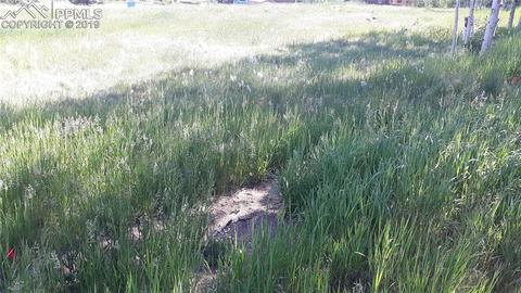 61 Will Stutley Dr, Divide, CO 80814 photo 5