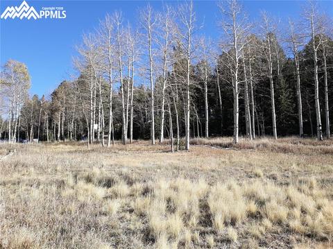 61 Will Stutley Dr, Divide, CO 80814 photo 1