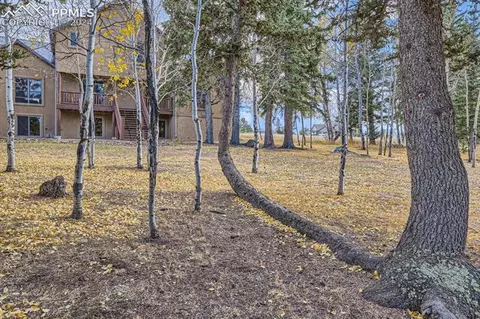 182 Joshua Rd, Divide, CO 80814 photo 27