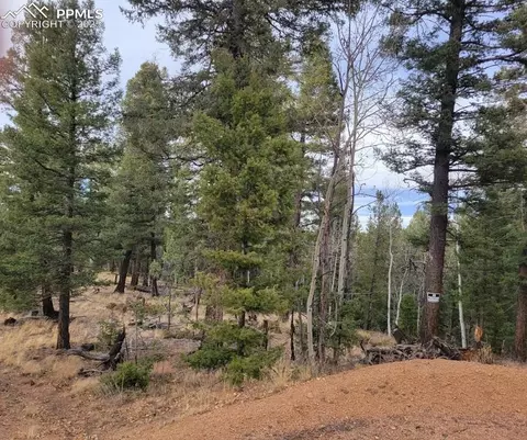 180 Sentinel Way, Florissant, CO 80816