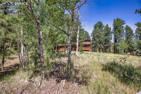 928 Spring Valley Dr, Divide, CO 80814 photo 24