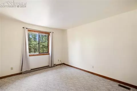 928 Spring Valley Dr, Divide, CO 80814 photo 19