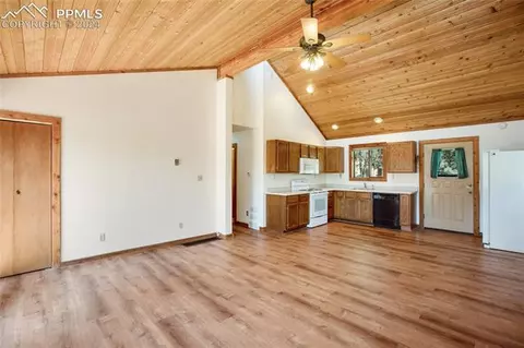 928 Spring Valley Dr, Divide, CO 80814 photo 11
