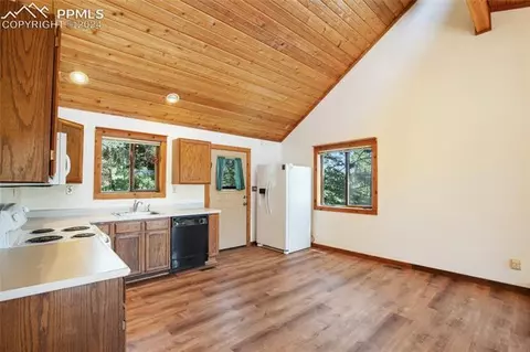 928 Spring Valley Dr, Divide, CO 80814 photo 8