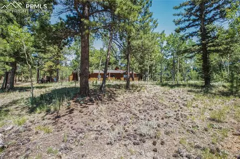 928 Spring Valley Dr, Divide, CO 80814 photo 25