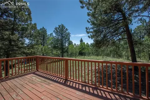 928 Spring Valley Dr, Divide, CO 80814 photo 6