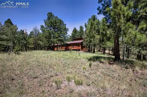 928 Spring Valley Dr, Divide, CO 80814 photo 22