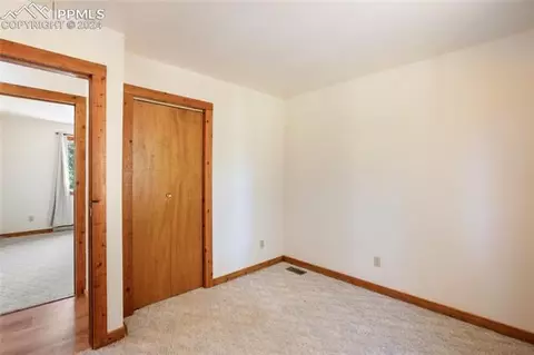 928 Spring Valley Dr, Divide, CO 80814 photo 17