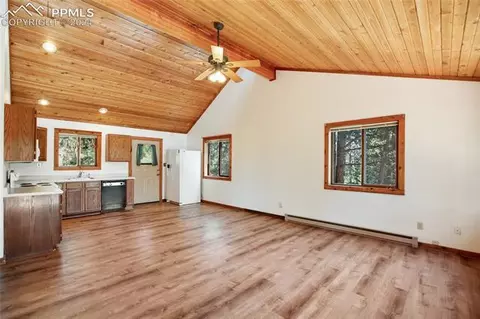 928 Spring Valley Dr, Divide, CO 80814 photo 12