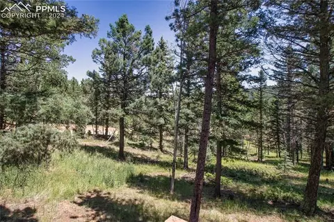 928 Spring Valley Dr, Divide, CO 80814 photo 33