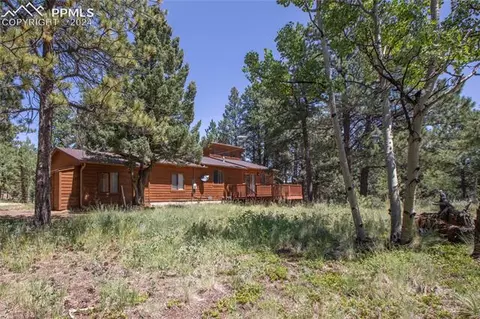 928 Spring Valley Dr, Divide, CO 80814 photo 26