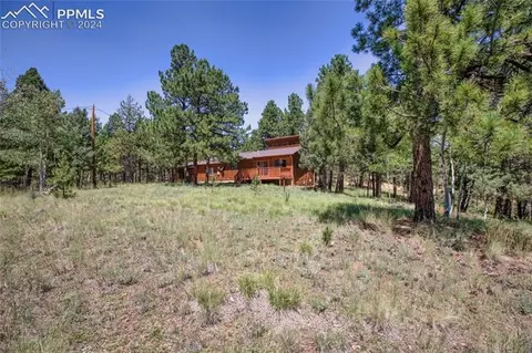 928 Spring Valley Dr, Divide, CO 80814 photo 23